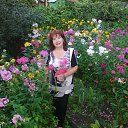 ���� �������, �����������, 71 ��� - ��������� 10 ������� 2014 � ������ ���� ����������