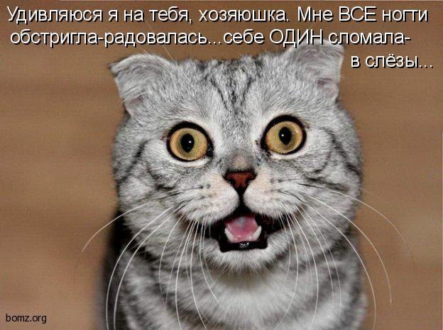  - 13  2014  03:02