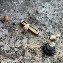 ���� ������, �����, 47 ��� - ��������� 16 ��� 2014 � ������ ������ ��������