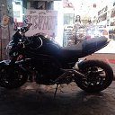 ���� ������, ��������, 38 ��� - ��������� 14 ��� 2014