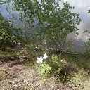 ���� �������, �������, 41 ��� - ��������� 23 ���� 2014 � ������ ���� ����������