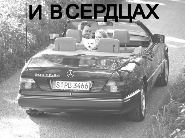 BMW | Mercedes | AUDI - 17  2014  15:02 - 7