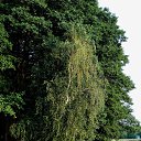 ��������. ������. ���� 2014 �� ������� �� ��� - ��������!!!)))�