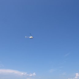 ���� ����������, ����������, 66 ��� - ��������� 23 ���� 2014