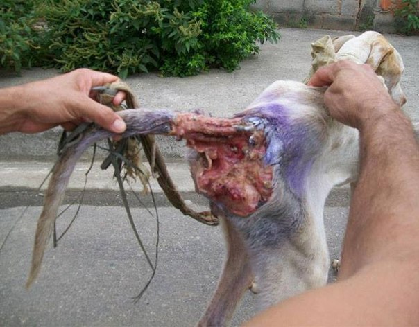 Добрые люди - 3