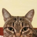 ���� ��������, �����������, 56 ��� - ��������� 25 ��� 2014 � ������ ���� ����������