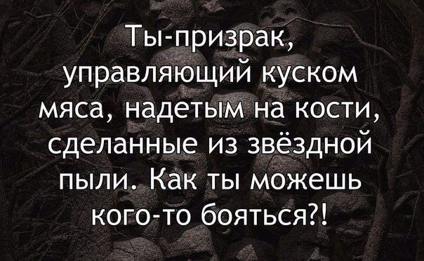 SportFeed - 30  2014  13:55