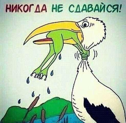 ������� - 18 ������ 2014 � 23:01