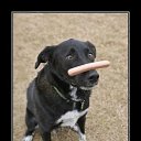 ���� Vlad, �������, 47 ��� - ��������� 14 ������ 2014 � ������ ���� ����������