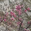 ������ ������� �� ������� ���� ����������