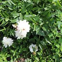 ���� �����, ������ �������� - ��������� 20 ���� 2014 � ������ �����