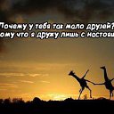 ���� �����, ������, 49 ��� - ��������� 13 ������ 2014 � ������ ������ ��������