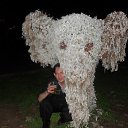 ���� ����, ���������, 52 ���� - ��������� 30 ����� 2014 � ������ ���� ����������