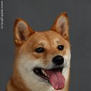    .    