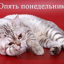 ���� �������, �������, 75 ��� - ��������� 7 ������ 2014 � ������ ���� ����������