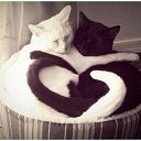 ���� Cshohkolad, ������ - ��������� 10 ���� 2014 � ������ ������ ��������