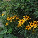  ,  -  13  2014      2014 .