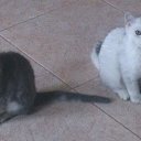 ���� ����, �����-���������, 55 ��� - ��������� 29 ����� 2014 � ������ ���� ����������