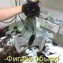���� �������, ����, 72 ���� - ��������� 30 ����� 2014 � ������ ������ ��������