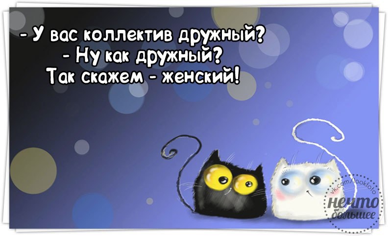   - 19  2014  21:13