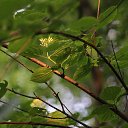  Ww, --, 75  -  14  2014   