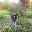 ���� �������, �������, 53 ���� - ��������� 1 ������ 2014 � ������ �Primavera�