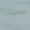 ���� ������, ����, 38 ��� - ��������� 21 ������� 2014 � ������ ������� 2014�