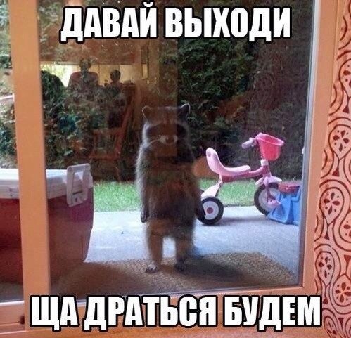    :D - 12  2014  19:01