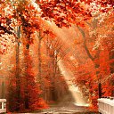 ���� Volk, �������, 46 ��� - ��������� 22 ��� 2014 � ������ ������ ��������