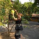 ���� �������, ������, 73 ���� - ��������� 29 ��� 2014 � ������ ���� ����������