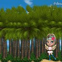  ,  -  15  2014   Tropikania