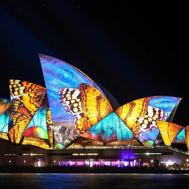      (Vivid Sydney)      ...