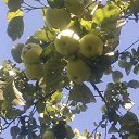 � ������ �����... �� ������� ���� ����������