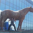 ���� ������, ������, 57 ��� - ��������� 5 ���� 2014