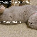 ���� �������� �� �������...., ���, 53 ���� - ��������� 20 ��� 2014 � ������ ������ ��������