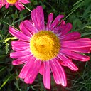  ++, , 55  -  10  2014     