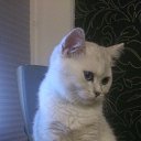 ���� ����, �����-���������, 55 ��� - ��������� 29 ����� 2014 � ������ ���� ����������