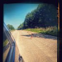 ���� ��������, ������ ��������, 33 ���� - ��������� 2 ������� 2014 � ������ ���� ����������