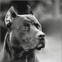 ���� �������, ������������, 30 ��� - ��������� 5 ������� 2014 � ������ ���� ����������