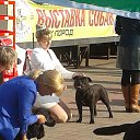  Roxanne, - -  28  2014   --
