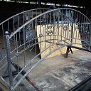 ���� �������, �����������, 47 ��� - ��������� 25 ����� 2014 � ������ ���� ����������