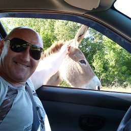 ���� �������, �����, 49 ��� - ��������� 4 ������ 2014