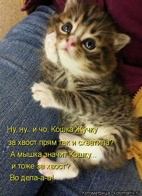 /zev/null - 17  2014  10:41