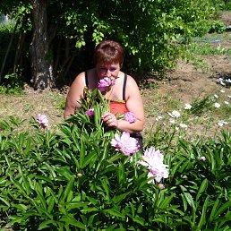 ��������, ��������, 54 ����