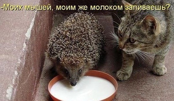 Кушай и худей | Лучшие рецепты - 24 июня 2014 в 12:13