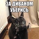  ,  -  22  2014    
