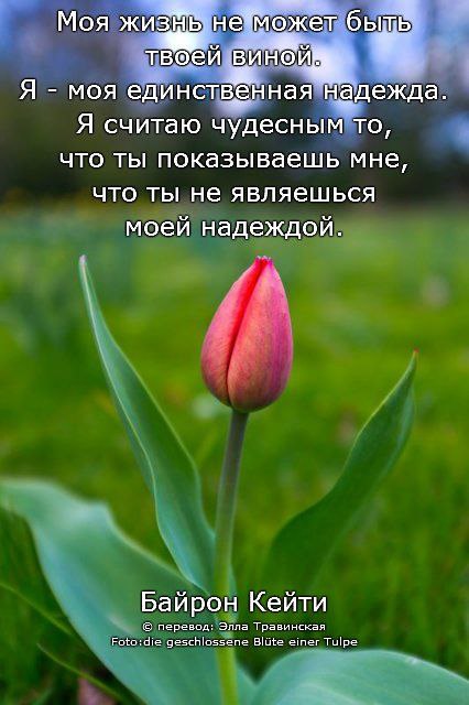  , ,   ! - 13  2014  01:42