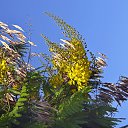 ���� �����, ������, 76 ��� - ��������� 12 ���� 2014 � ������ �flowers�