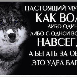 ���� ������, ������, 39 ��� - ��������� 1 ������ 2014