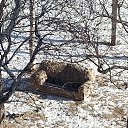  Valera,  -  14  2014    